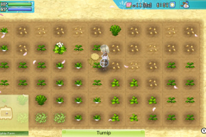Rune Factory 4 Special Screenshot