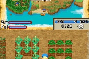 Harvest Moon: Island of Happiness Screenshot