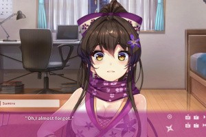 NinNinDays Screenshot