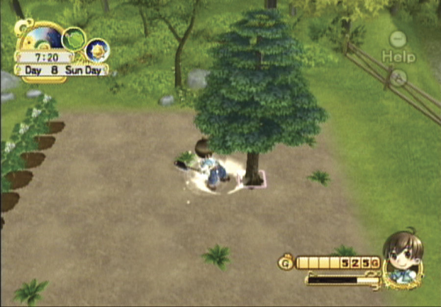 harvest moon tree of tranquility switch