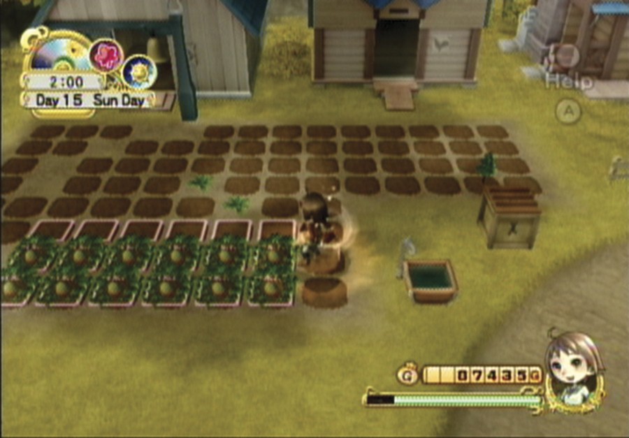 harvest moon tree of tranquitlity wii save game