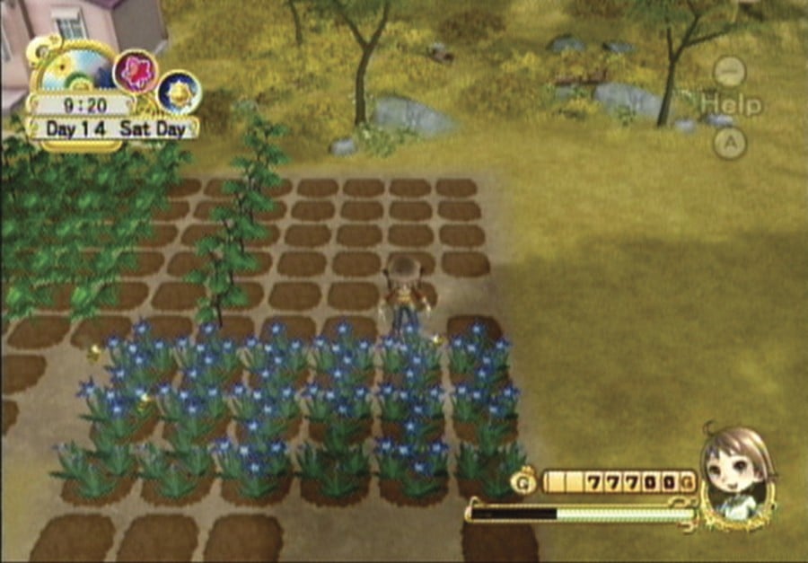 harvest moon tree of tranquility wii