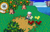 Animal Crossing: City Folk - Screenshot 1 of 10