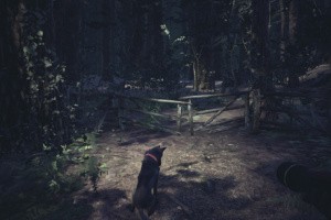 Blair Witch Screenshot