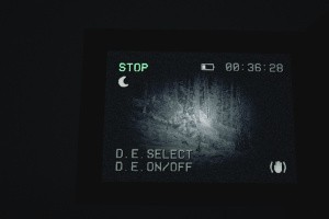 Blair Witch Screenshot