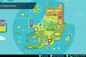 Pokémon Sword and Shield - The Isle Of Armor Screenshot