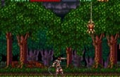 Super Castlevania IV - Screenshot 1 of 10