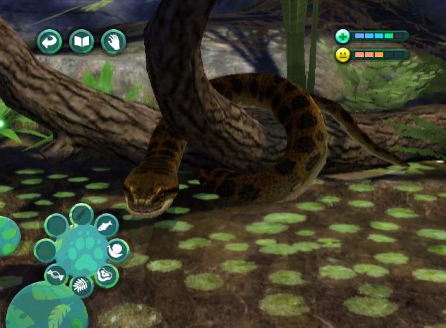 Zoo Hospital (Wii) Screenshots