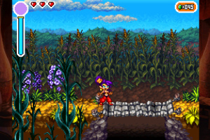 Shantae: Risky's Revenge - Director's Cut Screenshot