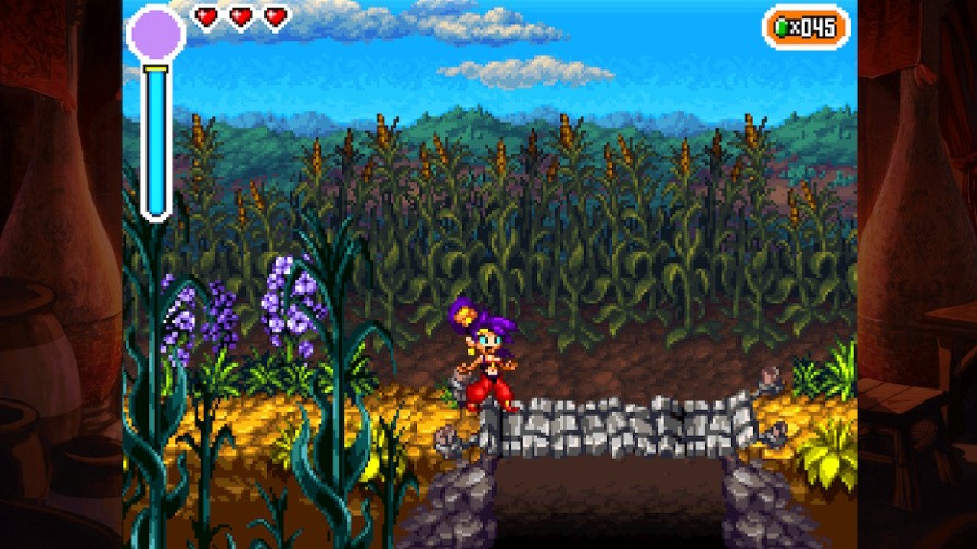 Shantae: Risky's Revenge - Director's Cut Review - Screenshot 2 of 4