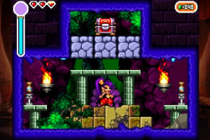 Shantae: Risky's Revenge - Director's Cut Screenshot