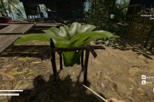 Green Hell Screenshot