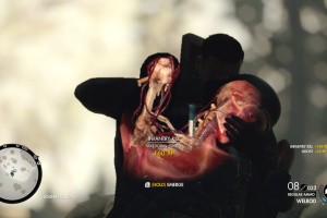 Sniper Elite 4 Screenshot