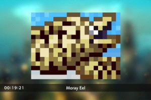 Picross S5 Screenshot