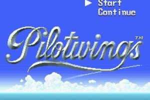 Pilotwings Screenshot