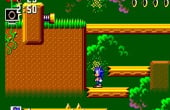 Sonic the Hedgehog - Screenshot 7 of 9