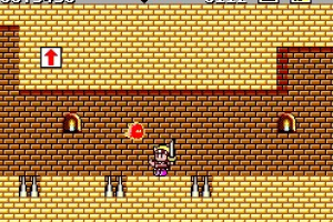 Wonder Boy in Monster Land Screenshot