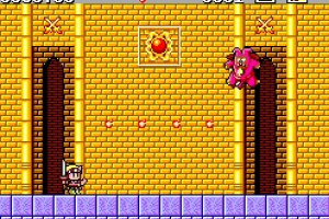 Wonder Boy in Monster Land Screenshot