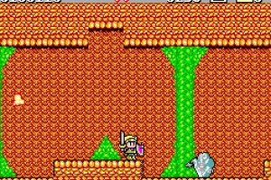 Wonder Boy in Monster Land Screenshot