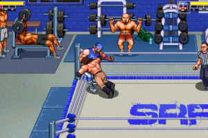 RetroMania Wrestling Screenshot