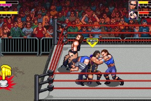RetroMania Wrestling Screenshot