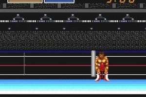 Digital Champ: Battle Boxing Screenshot