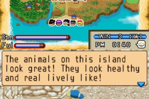 Harvest Moon: Island of Happiness Screenshot