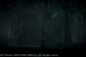 Fatal Frame: Maiden of Black Water Screenshot