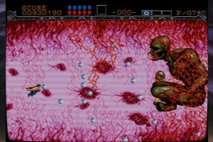 Gynoug Screenshot