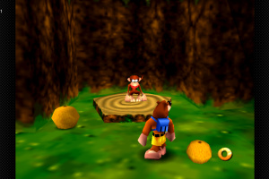 Banjo-Kazooie Screenshot