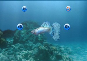 My Aquarium Review - Screenshot 3 of 3