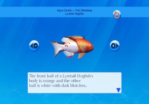 My Aquarium Review - Screenshot 3 of 3