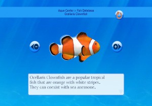My Aquarium Review - Screenshot 3 of 3