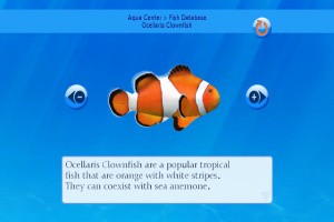 My Aquarium Screenshot