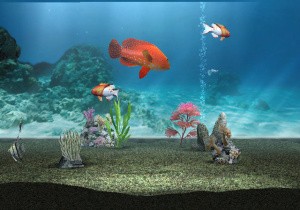 My Aquarium Review - Screenshot 2 of 3