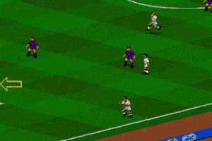FIFA 95 Screenshot