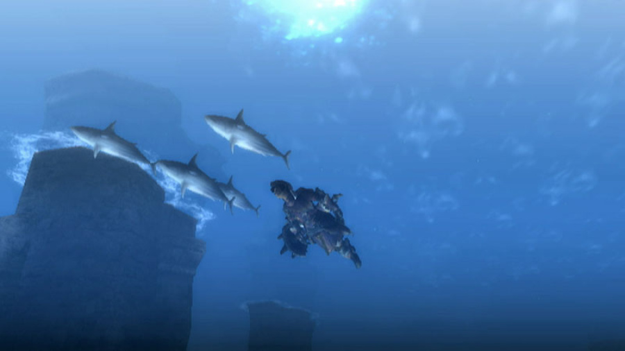 Monster Hunter 3 (Tri~) Screenshot
