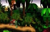 Donkey Kong Country - Screenshot 8 of 8