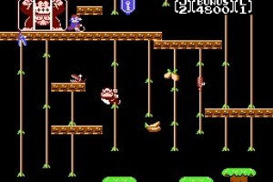 Donkey Kong Jr. Screenshot