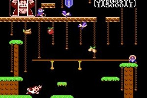 Donkey Kong Jr. Screenshot