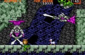 Ghouls 'n Ghosts - Screenshot 4 of 6