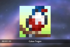 PICROSS S8 Screenshot