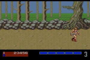 Golden Axe Screenshot