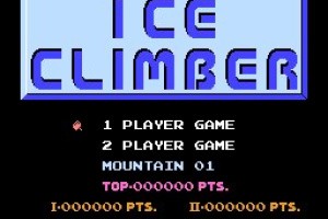 Ice Climber Screenshot