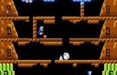 Ice Climber - Screenshot 2 of 6