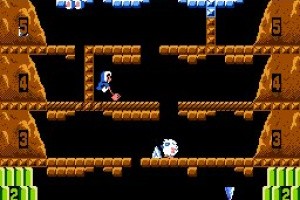 Ice Climber Screenshot