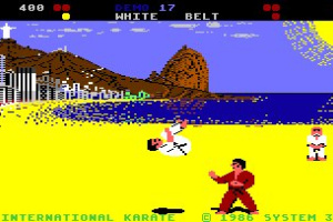 International Karate Screenshot