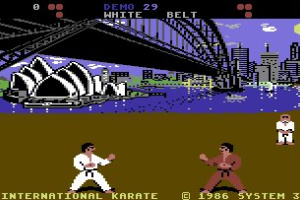 International Karate Screenshot