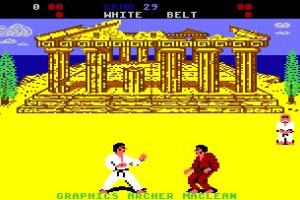 International Karate Screenshot