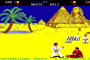 International Karate Screenshot